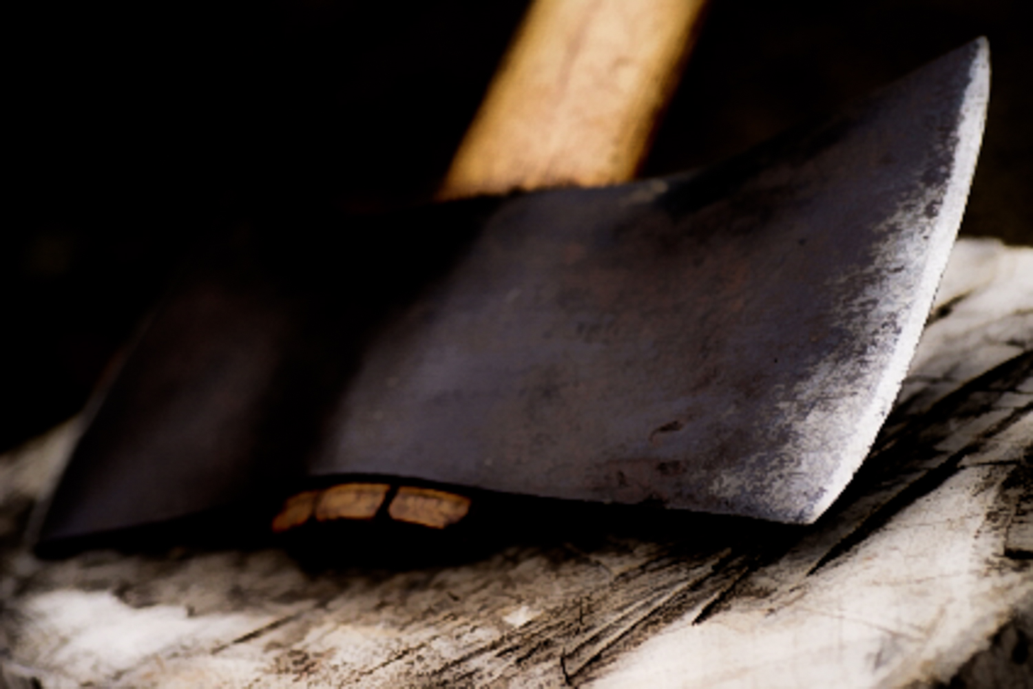 Biblical Prophets Prophet Elisha and the Floating Iron Ax head